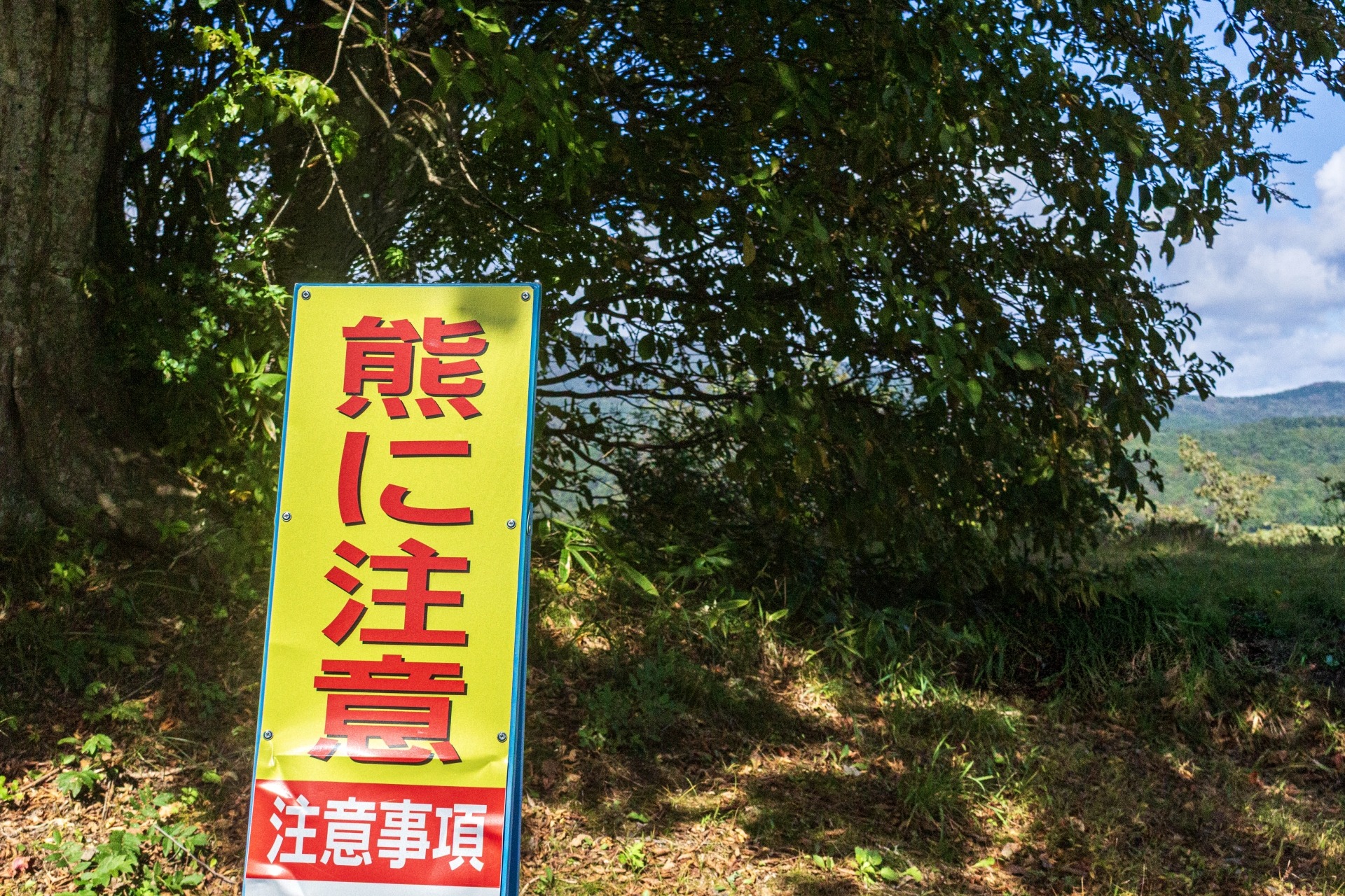 熊の弱点はどこ？｜退避できない極限状態における身の守り方