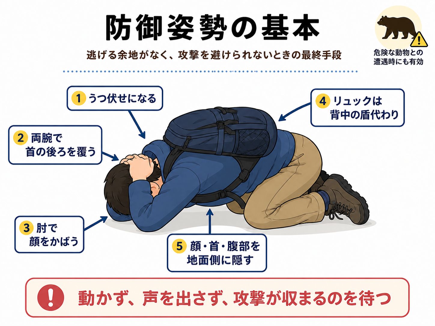 熊と遭遇した際の防御姿勢の基本